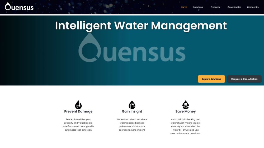 Quensus Website screenshot