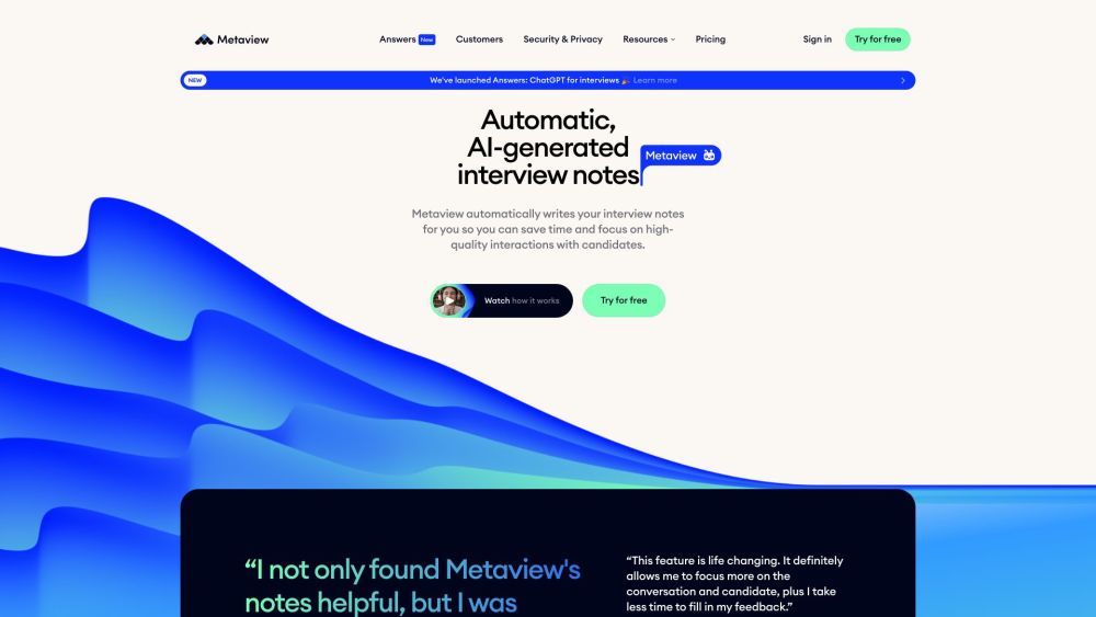 Metaview Website screenshot