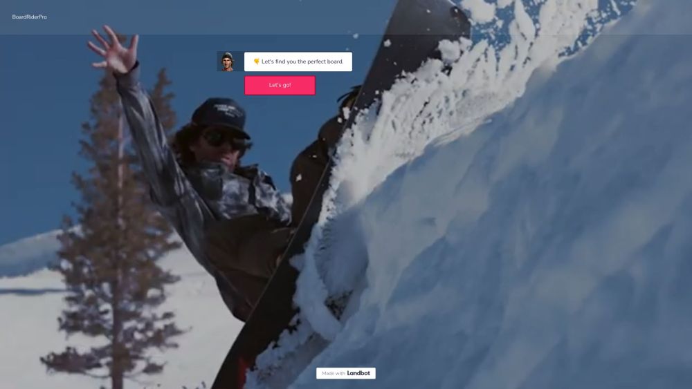 BoardRiderPro Website screenshot