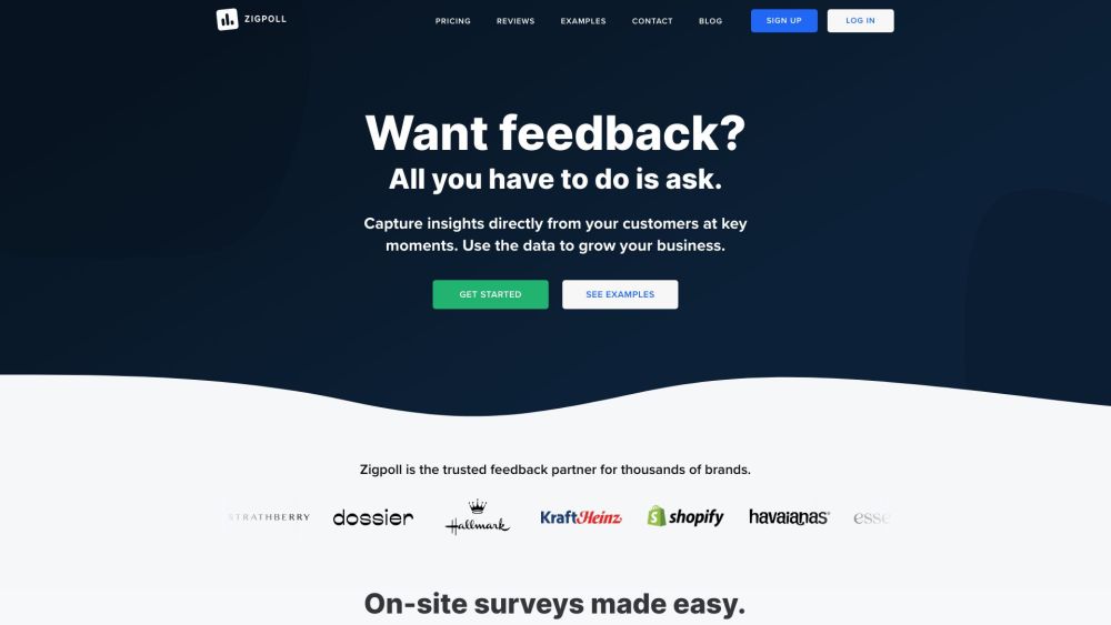 Zigpoll - Survey & Feedback Platform Website screenshot