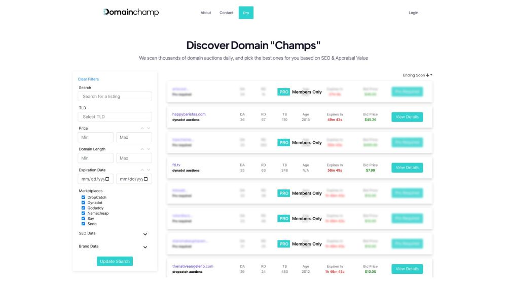 Domainchamp Website screenshot