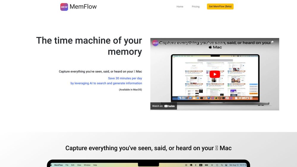 MemFlow Website screenshot