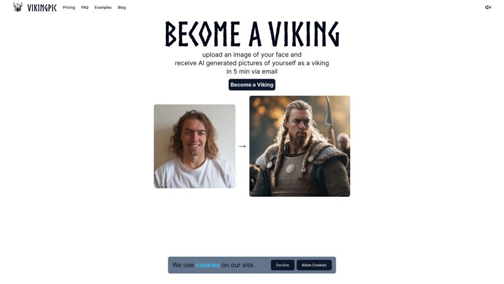 VikingPic Website screenshot