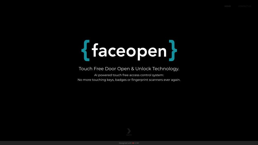 Faceopen Website screenshot