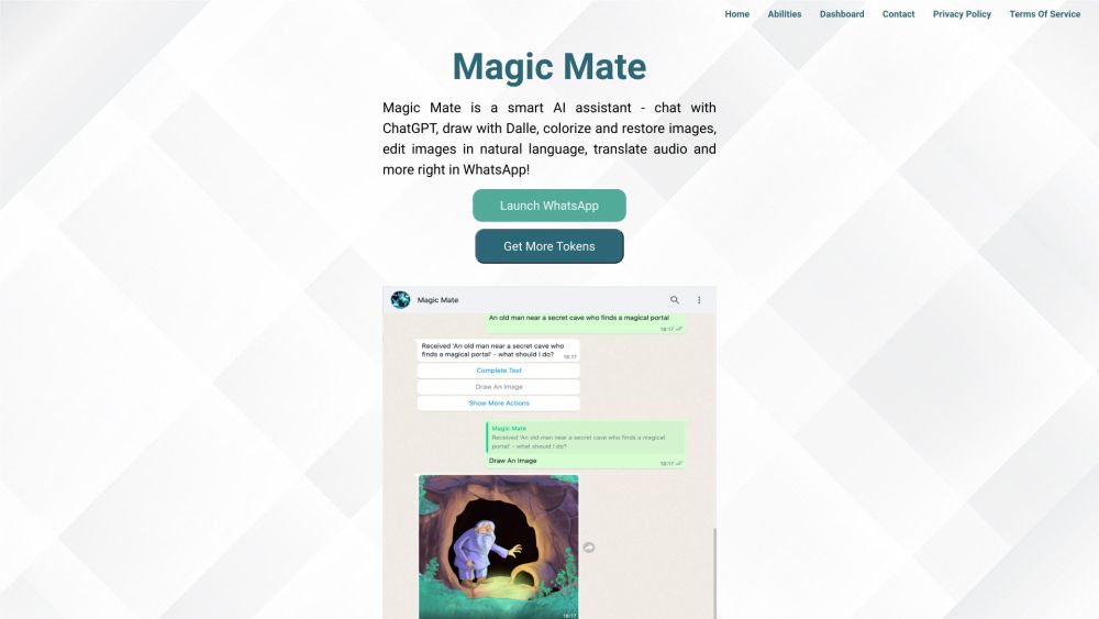 Magic Mate Website screenshot