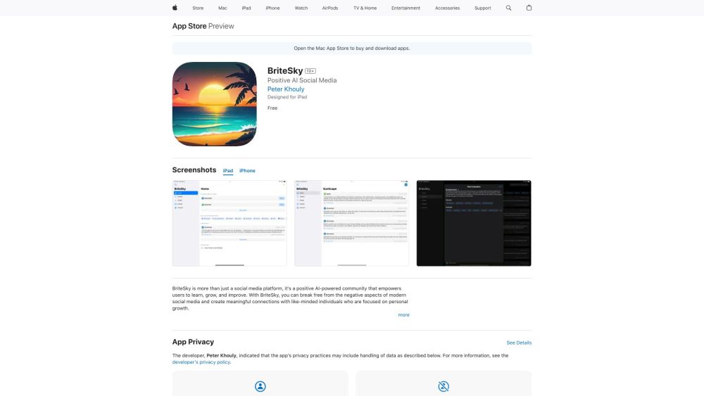 BriteSky Website screenshot