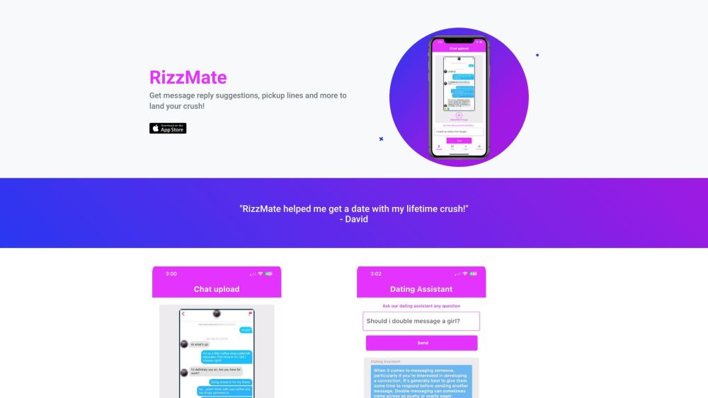 Rizzmate Website screenshot