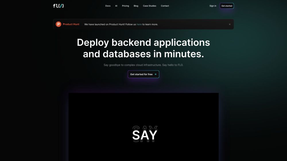 FL0 Website screenshot