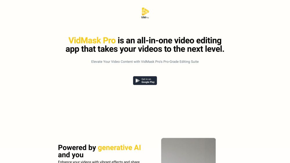 VidMaskPro