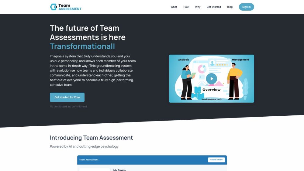 Team Assessment Website screenshot
