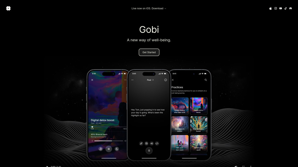 Gobi Website screenshot