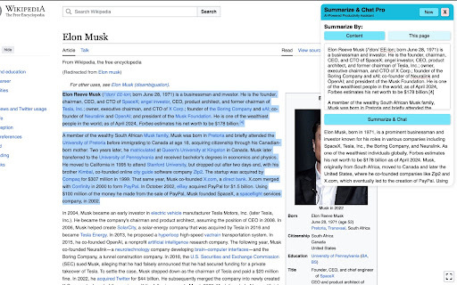 Summarize & Chat Pro - Chrome Extension