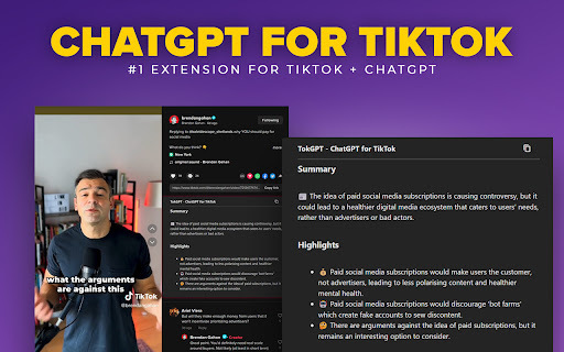 TikTok Video Transcript and Summary - Chrome Extension Website screenshot