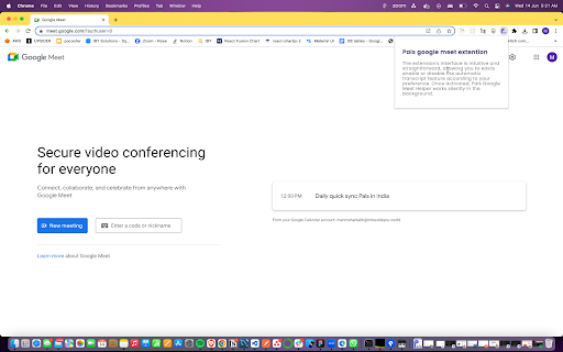 Pals Google Meet Helper - Chrome Extension Website screenshot