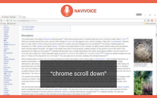 NaviVoice - Chrome Extension