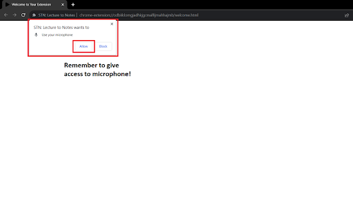 STN - Speech To Notes - Chrome Extension Website screenshot