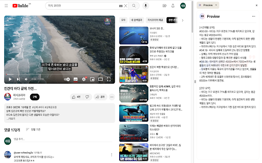 SummarizeTube - Chrome Extension