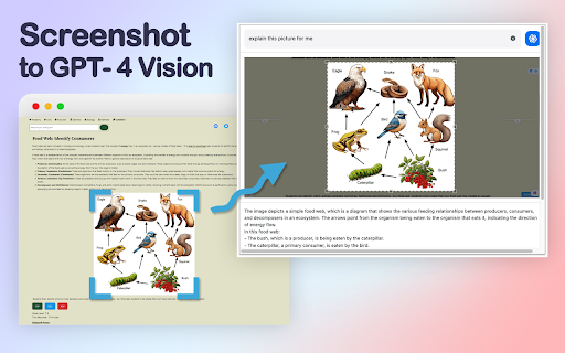 GPT-4 Vision Screenshot - Chrome Extension