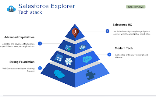 Salesforce Explorer - Chrome Extension