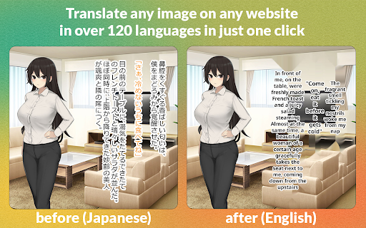 Torii Image Translator - Chrome Extension Website screenshot