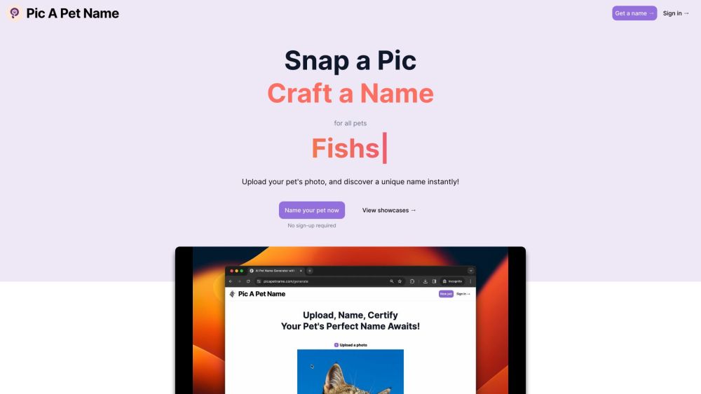 Pic A Pet Name Website screenshot