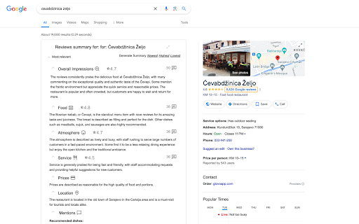 AI-Powered Google Reviews Summarizer - Chrome Extension Website screenshot