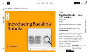 Backlink Bundle - Best SEO service - Praneet Brar