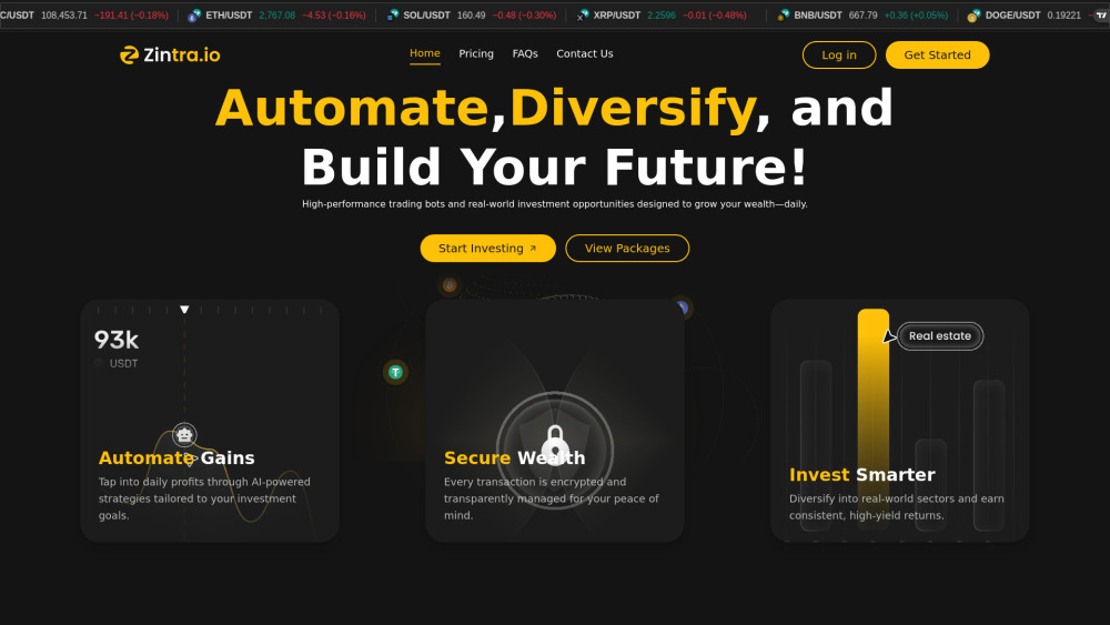 Zintra Website screenshot