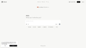 Wordin - AI Writing Editor & Agent for Authors