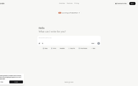 Wordin - AI Writing Editor & Agent for Authors