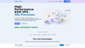 BrainHost - High-Performance KVM VPS Hosting | Instant Setup