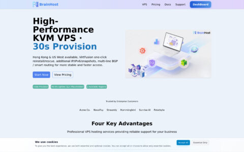 BrainHost - High-Performance KVM VPS Hosting | Instant Setup