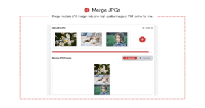 Merge JPG - Free Online Tool to Combine Images Instantly