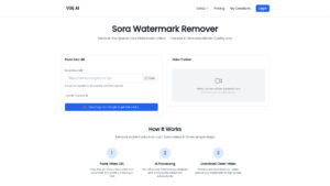 Sora Watermark Remover - AI-Powered Free Video Tool Online