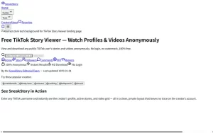 SneakStory - Free Anonymous TikTok Story Viewer Online